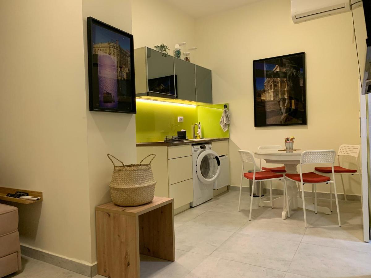 Sunlit Artist Studio Apartman Belgrád Kültér fotó